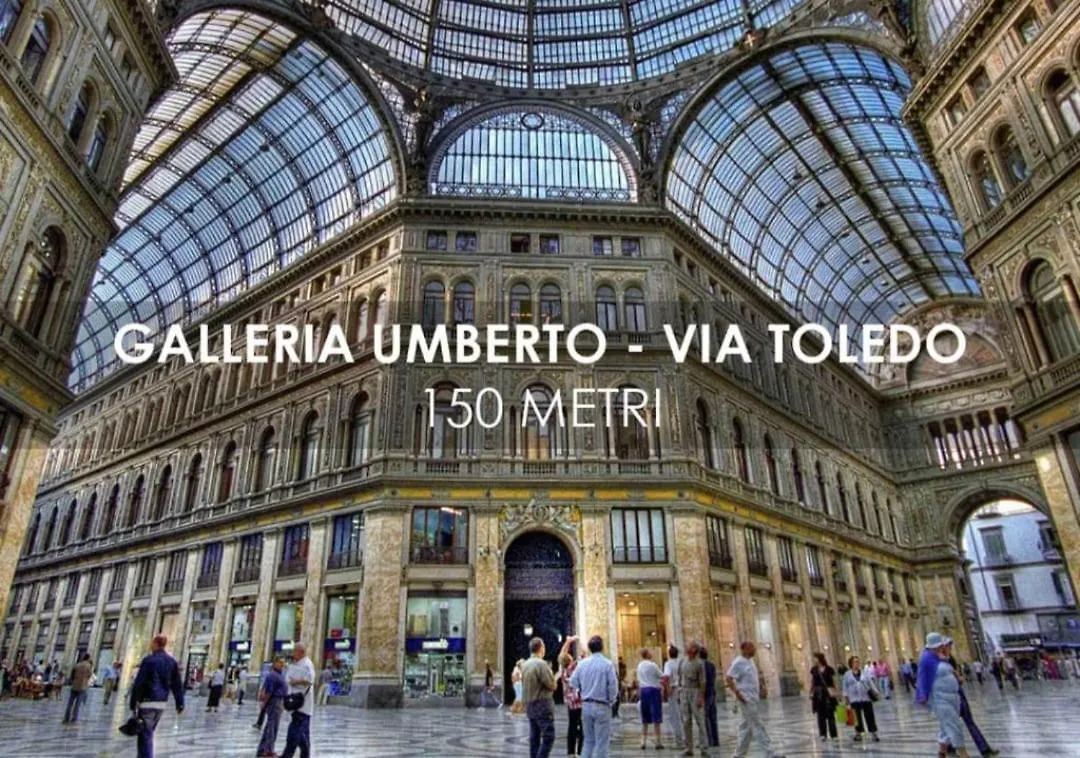 Little Home Toledo Naples